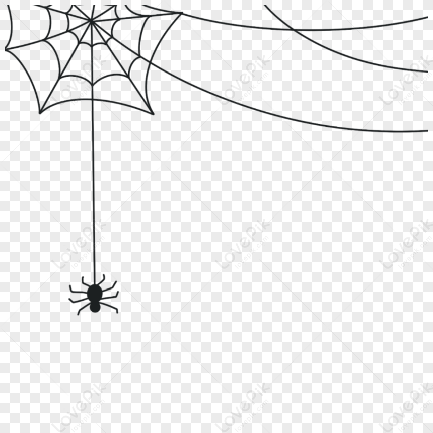 Hand Painted Spider Web PNG Transparent Images Free, 46% OFF