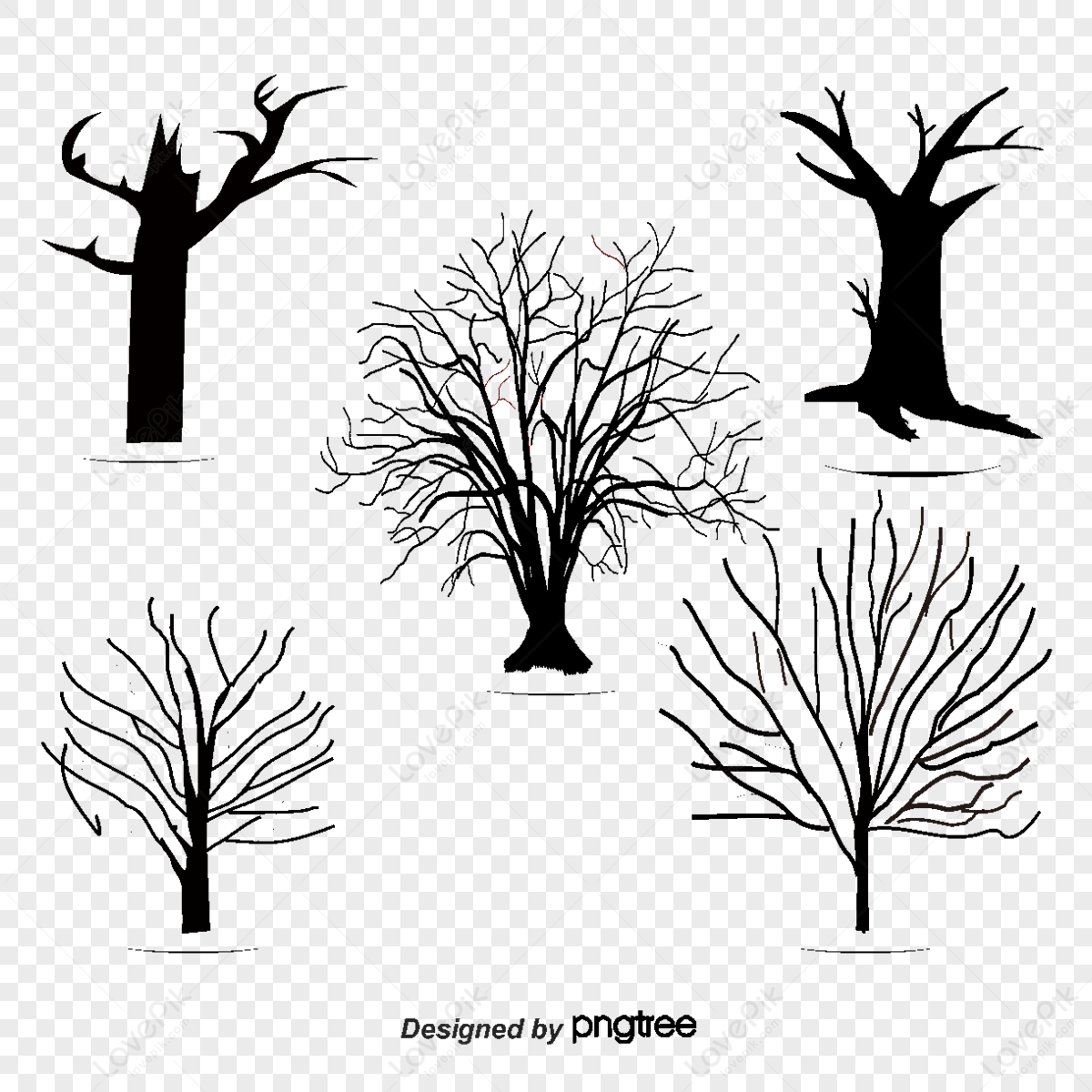 Trees Without Leaves Vector & Photo (Free Trial) | Bigstock