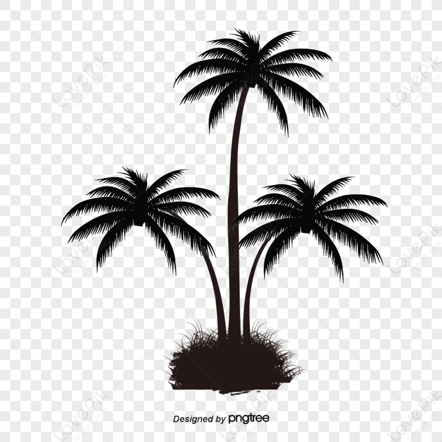 Black Palm Tree Pattern,attalea Speciosa,arenga Pinnata,washingtonia ...