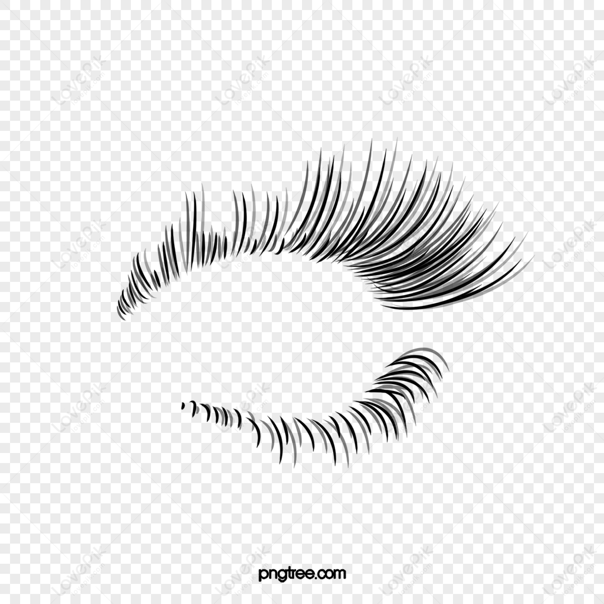 Lashes Background PNG Images With Transparent Background | Free ...