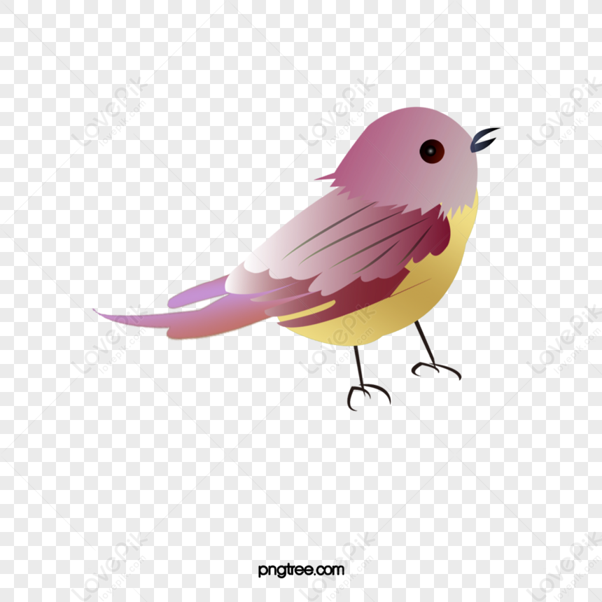 Cute Little Birds,animal,love Birds,anime PNG White Transparent And ...