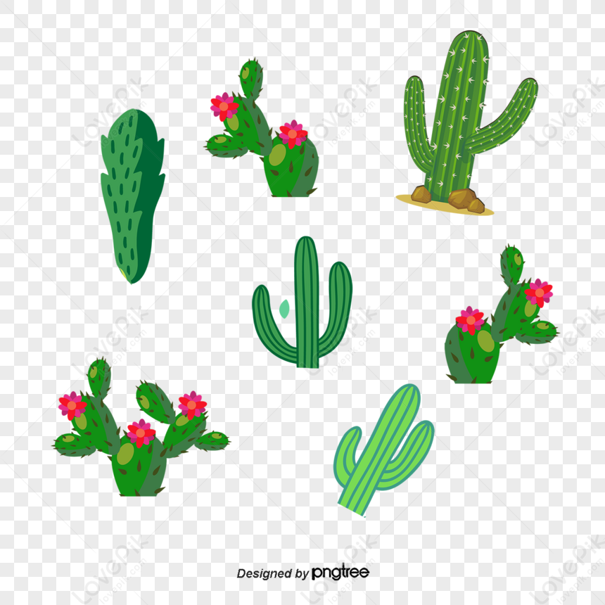Potted Cactus PNG Images, Drawing Plant, Hand Painted Flowers, Cactus PNG  Transparent Background - Pngtree
