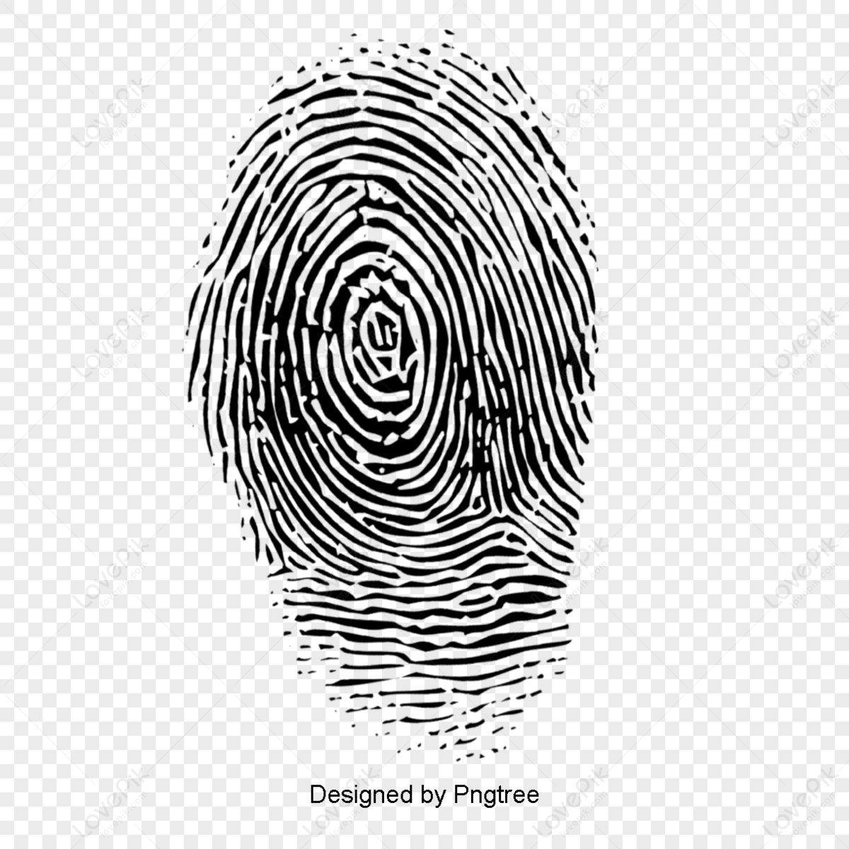 Fingerprint Creative,finger Pointing,lines,fingerprint Sketch PNG ...