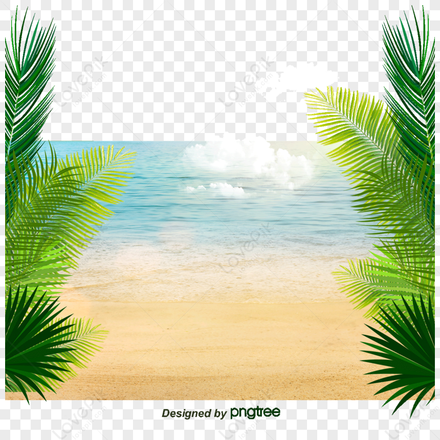 Great Beach Coconut Decorative Background,paradise,fresh,color PNG ...