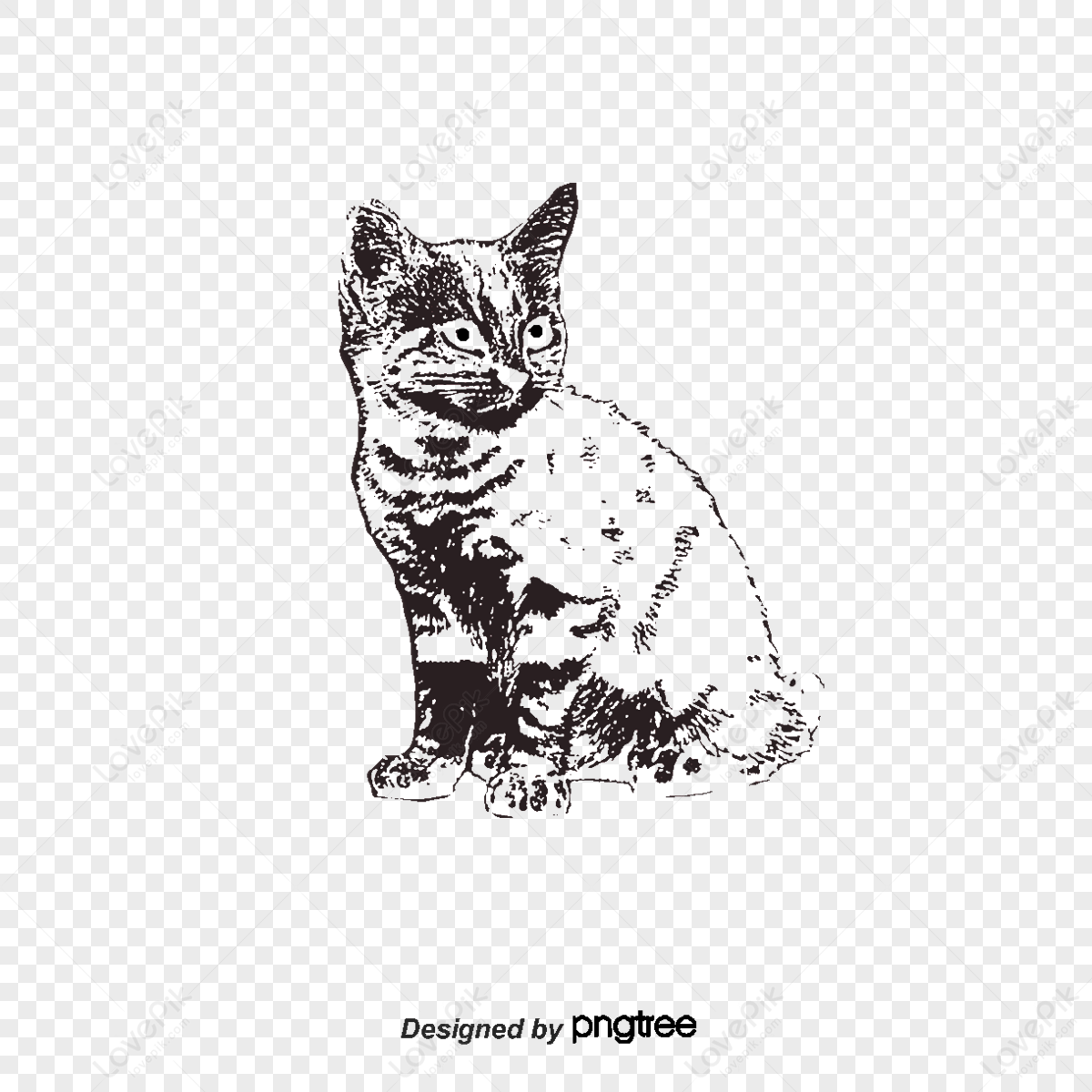 cat vector icon and pet symbol 2323678 Vector Art at Vecteezy