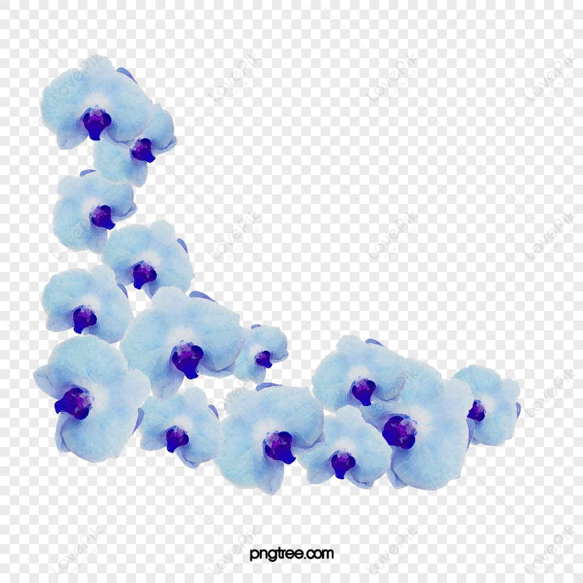 Blue Lily PNG Images, Blue, Lily, Flowers PNG Transparent Background -  Pngtree