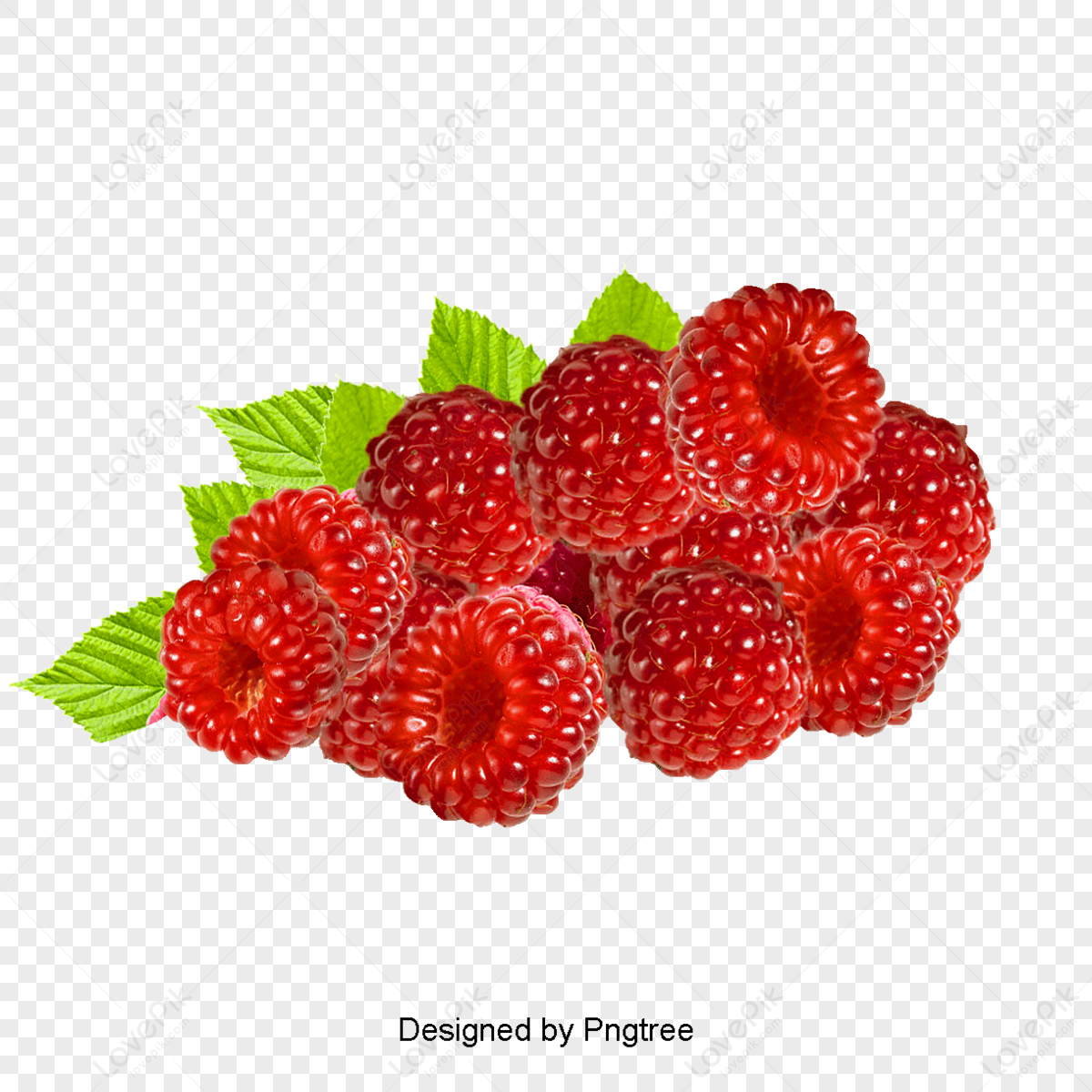 Raspberry Pattern PNG Images With Transparent Background | Free ...