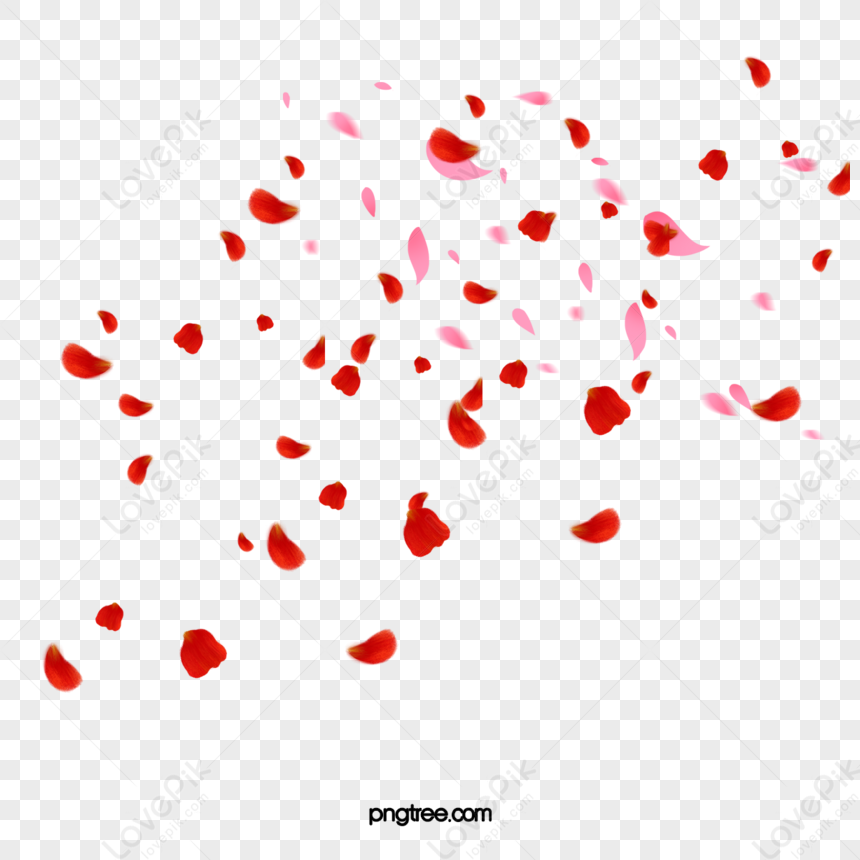 Scattered Red Rose Petals,red Roses,scattered Roses,falling Flowers PNG ...