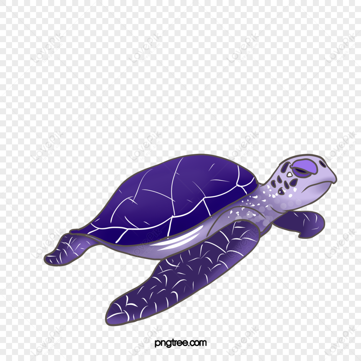 Sea Turtle PNG Images With Transparent Background | Free Download On ...