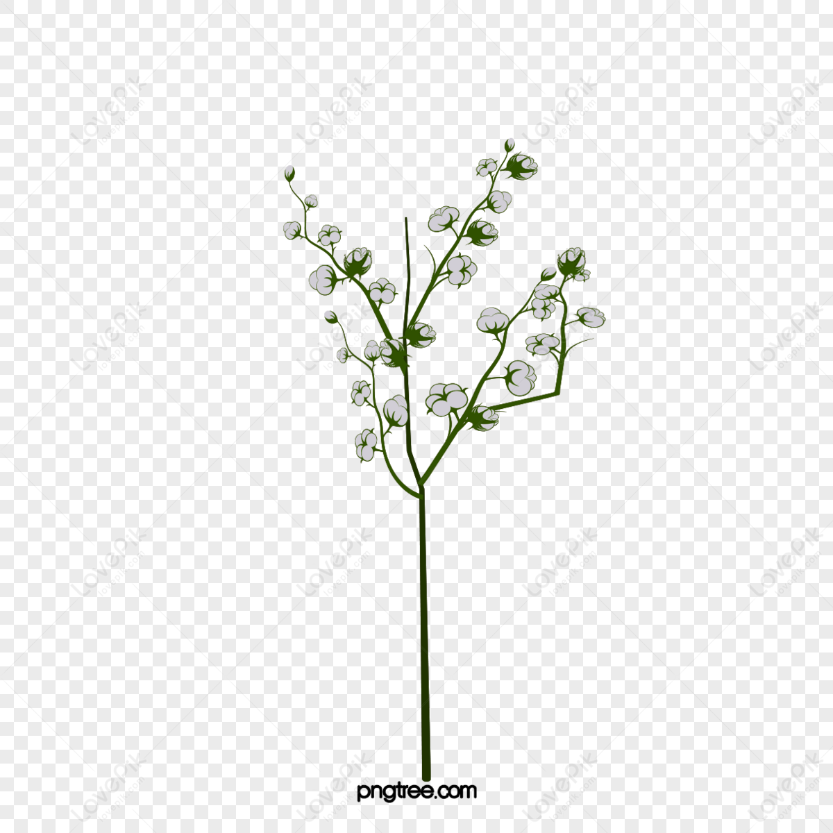 Starry Flowers PNG Images With Transparent Background