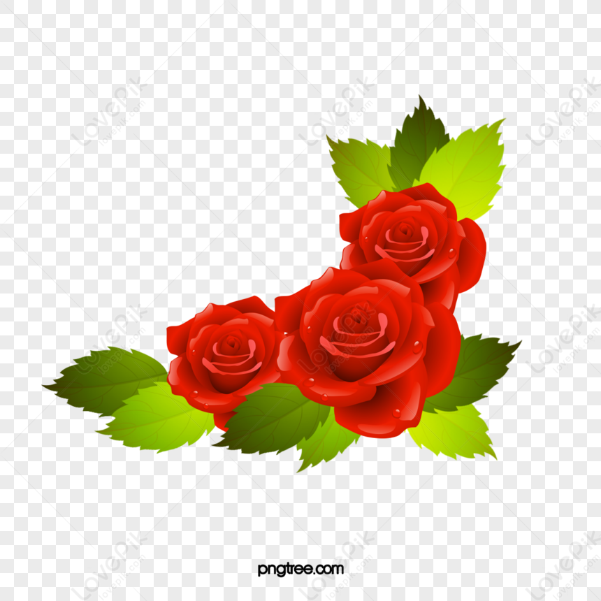 Vector Red Roses,leaf,bunga Mawar PNG White Transparent And Clipart ...