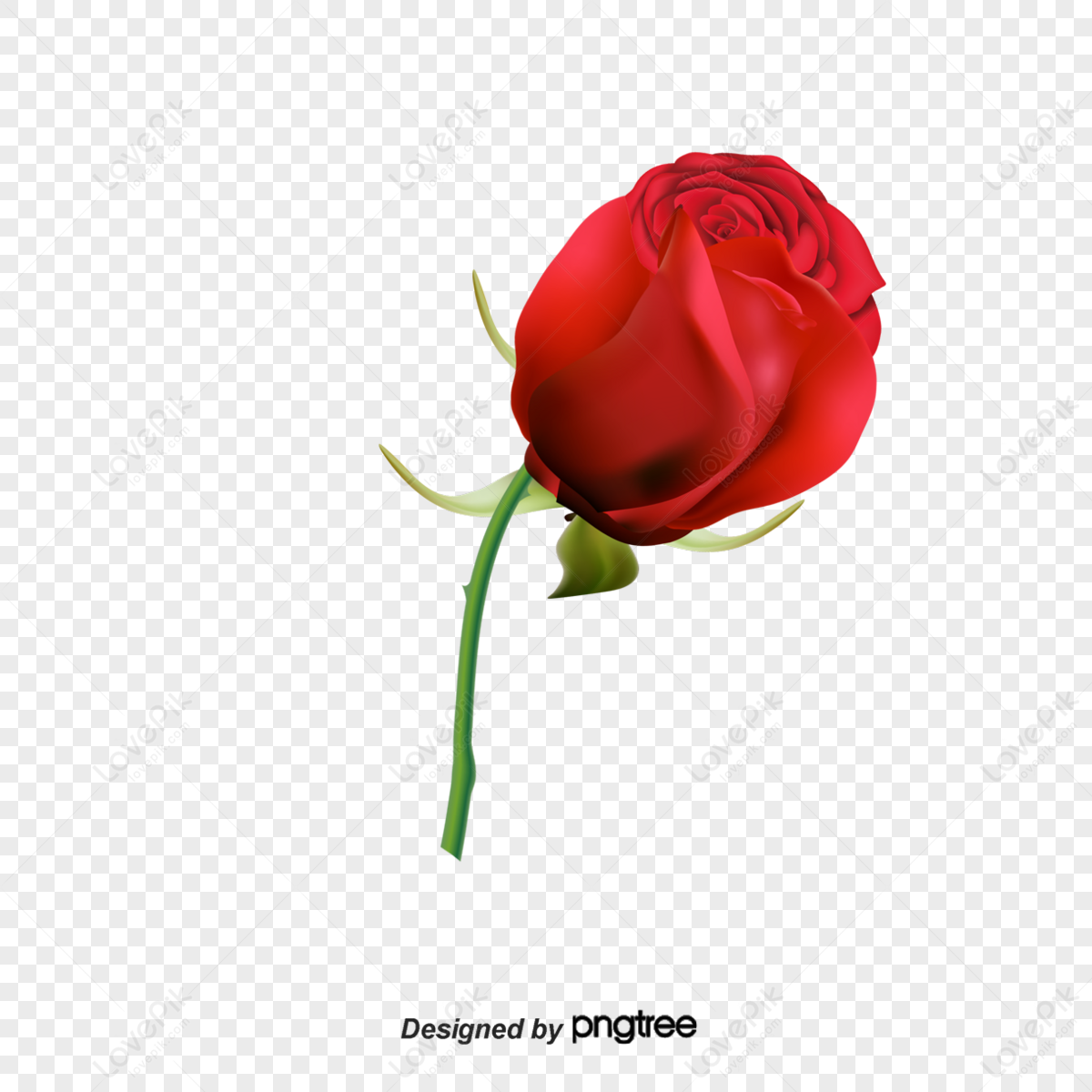 Rose Tattoo PNG Picture - PNG All | PNG All