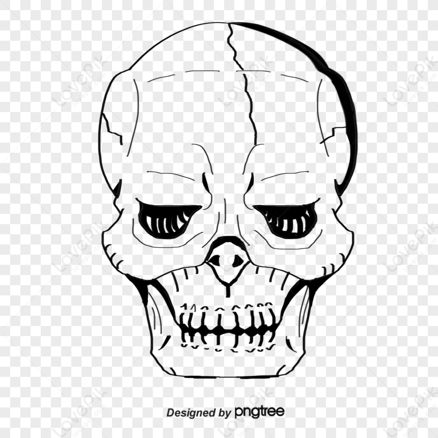 Vector White Skull,menu,death,undead PNG Transparent Image And Clipart ...