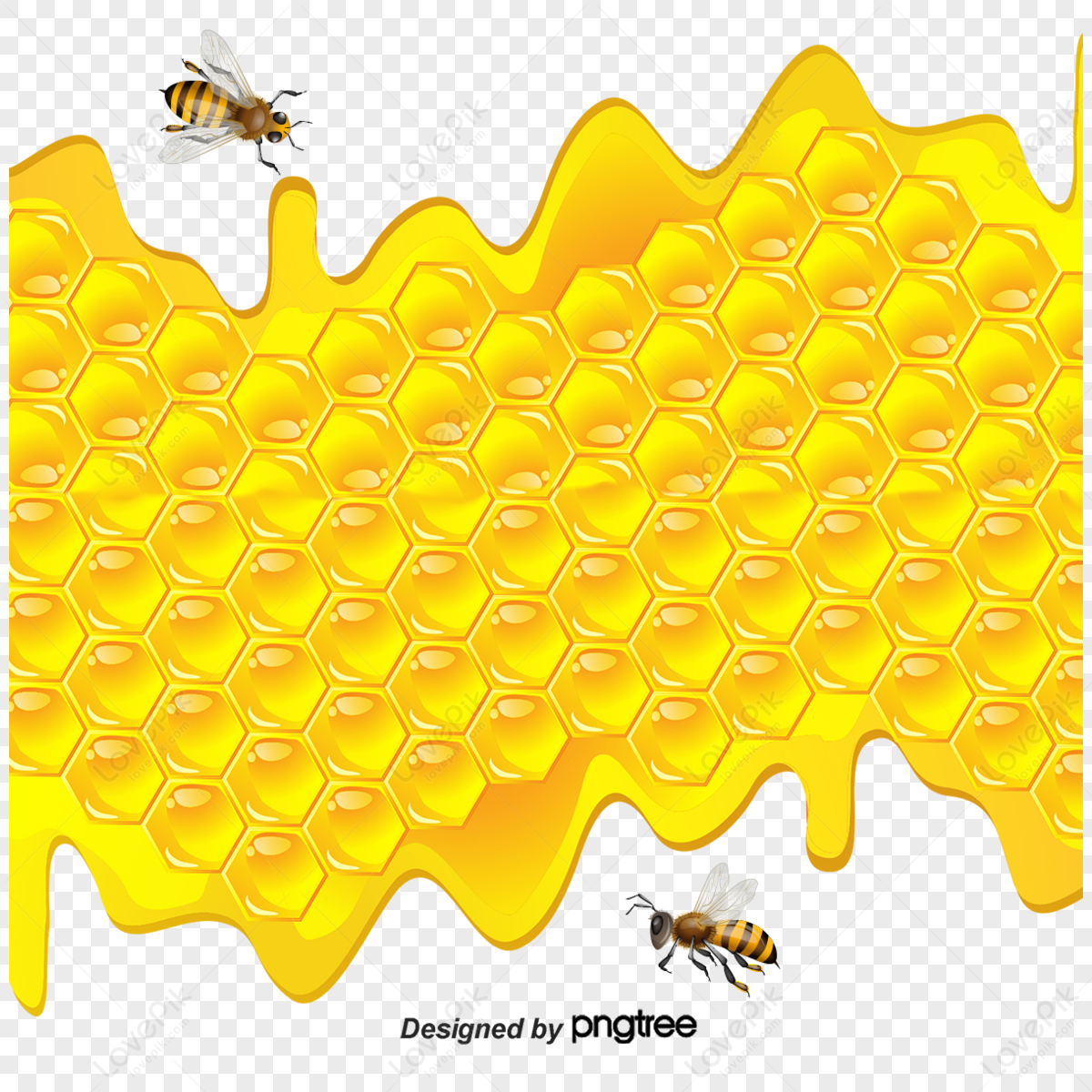 Seven Cells Honeycomb Full Honey Vector Stock Vector (Royalty Free)  1380386180 | Shutterstock