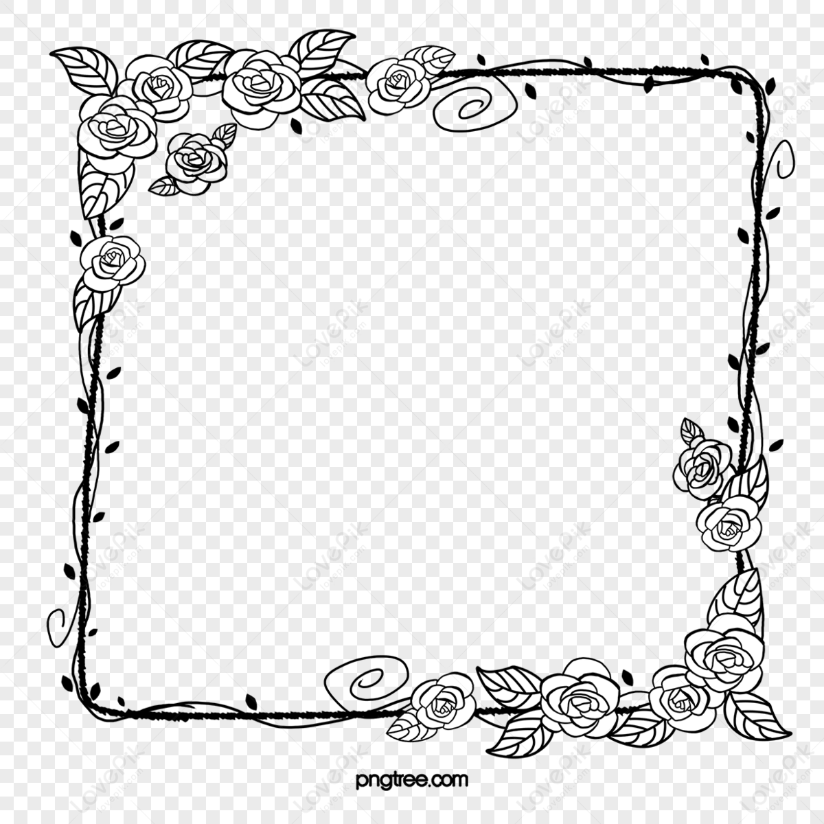 Rose Borders and Frames Flower Drawing, white roses, flower Arranging,  white, artificial Flower png | PNGWing