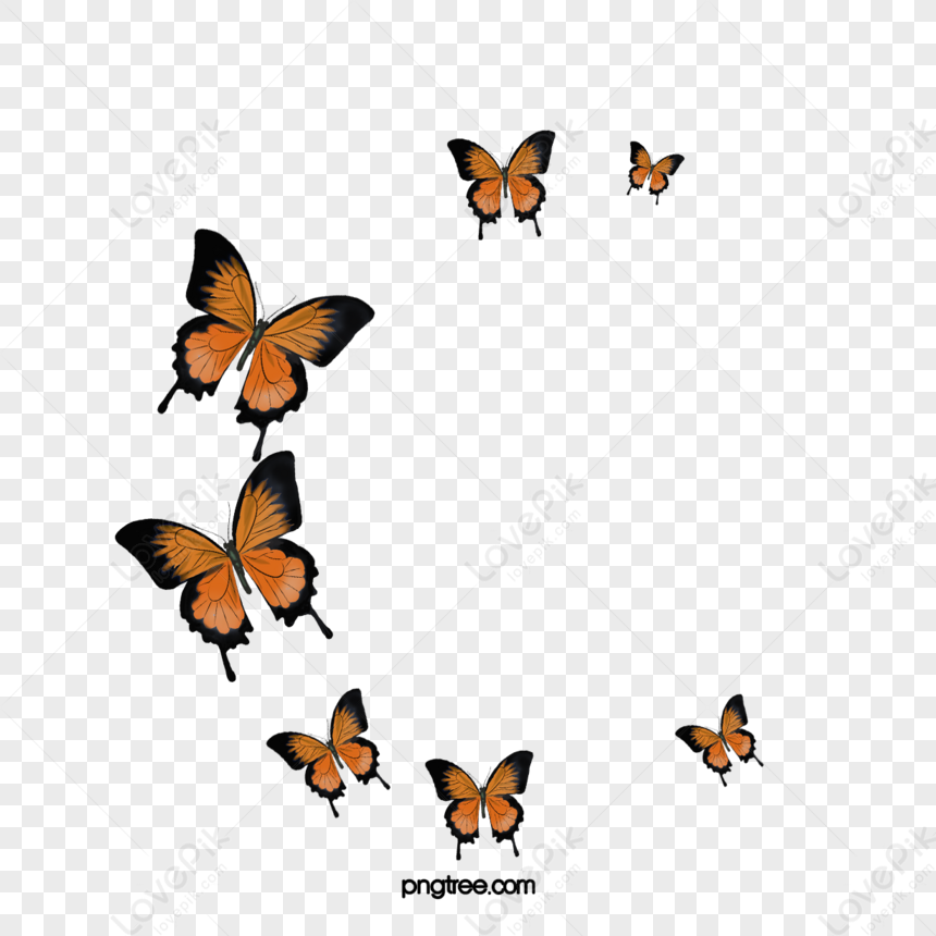 papillon volant clipart