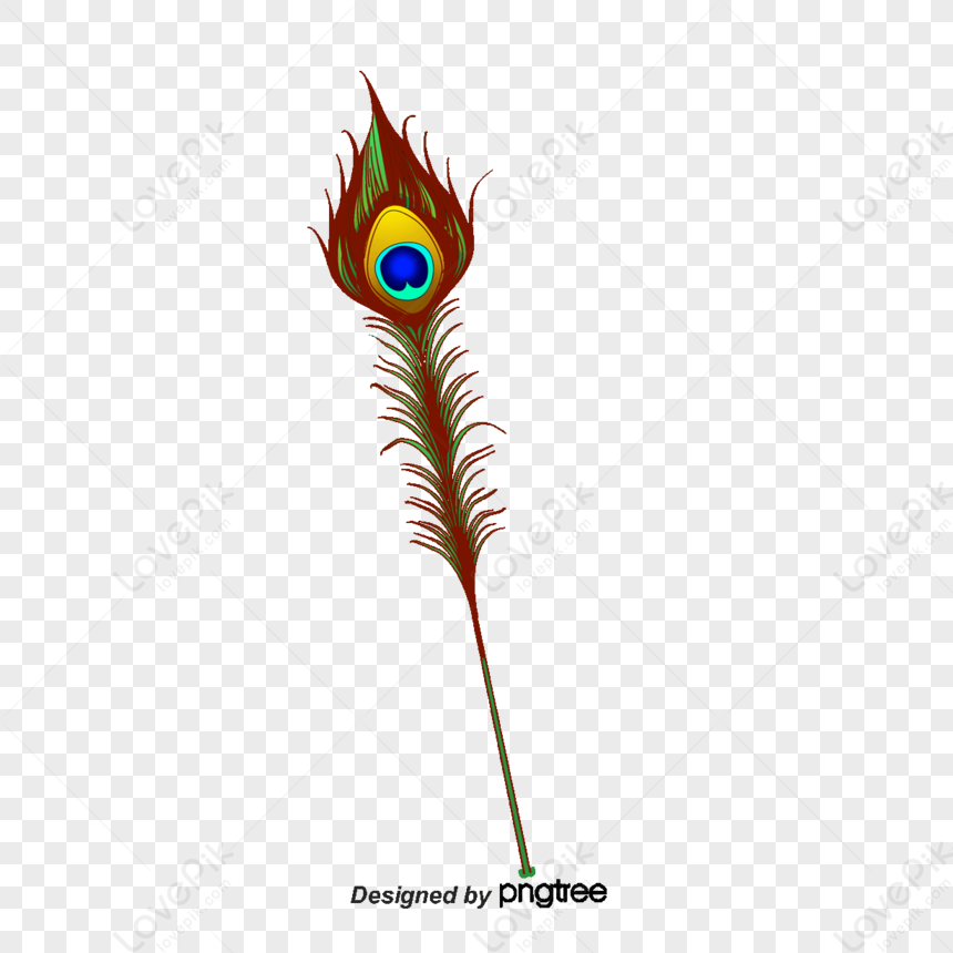 Cartoon Painted Feathers Wings Peacock Feather Hand Painted Png Image