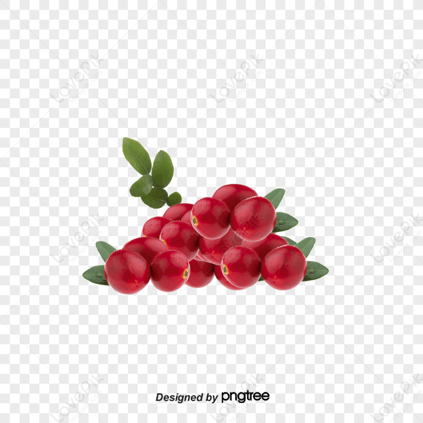 Cranberry Extract,taxus Cuspidata,red Fruits,plant PNG Image And ...