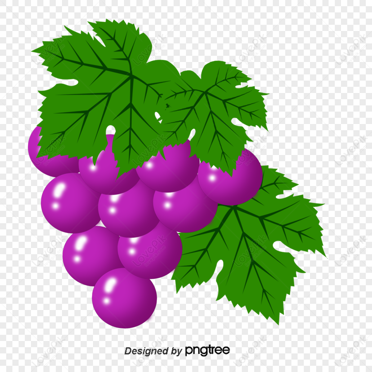 557 Cartoon Grapes Stock Photos, High-Res Pictures, and Images - Getty  Images