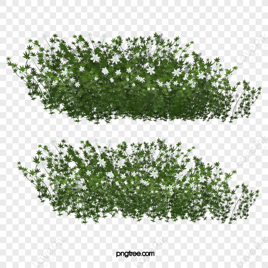 Illustration de l'herbe verte, herbes, détails de bordure d'herbe verte,  frontière, ordinateur png