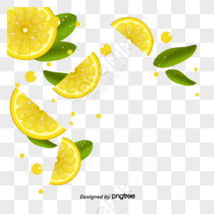 Fresh Orange Vector, Fresh Vectorer, Fresh Oranges, Orange Vector PNG ...