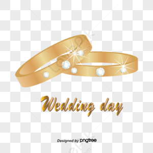 Anillos de boda de oro,celebración,concepto,año PNG