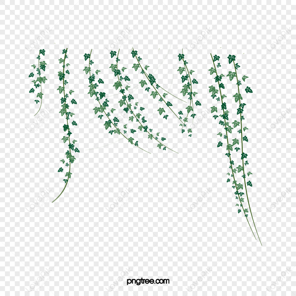 Creeper PNG Images, Grass PNG Transparent Background - Pngtree