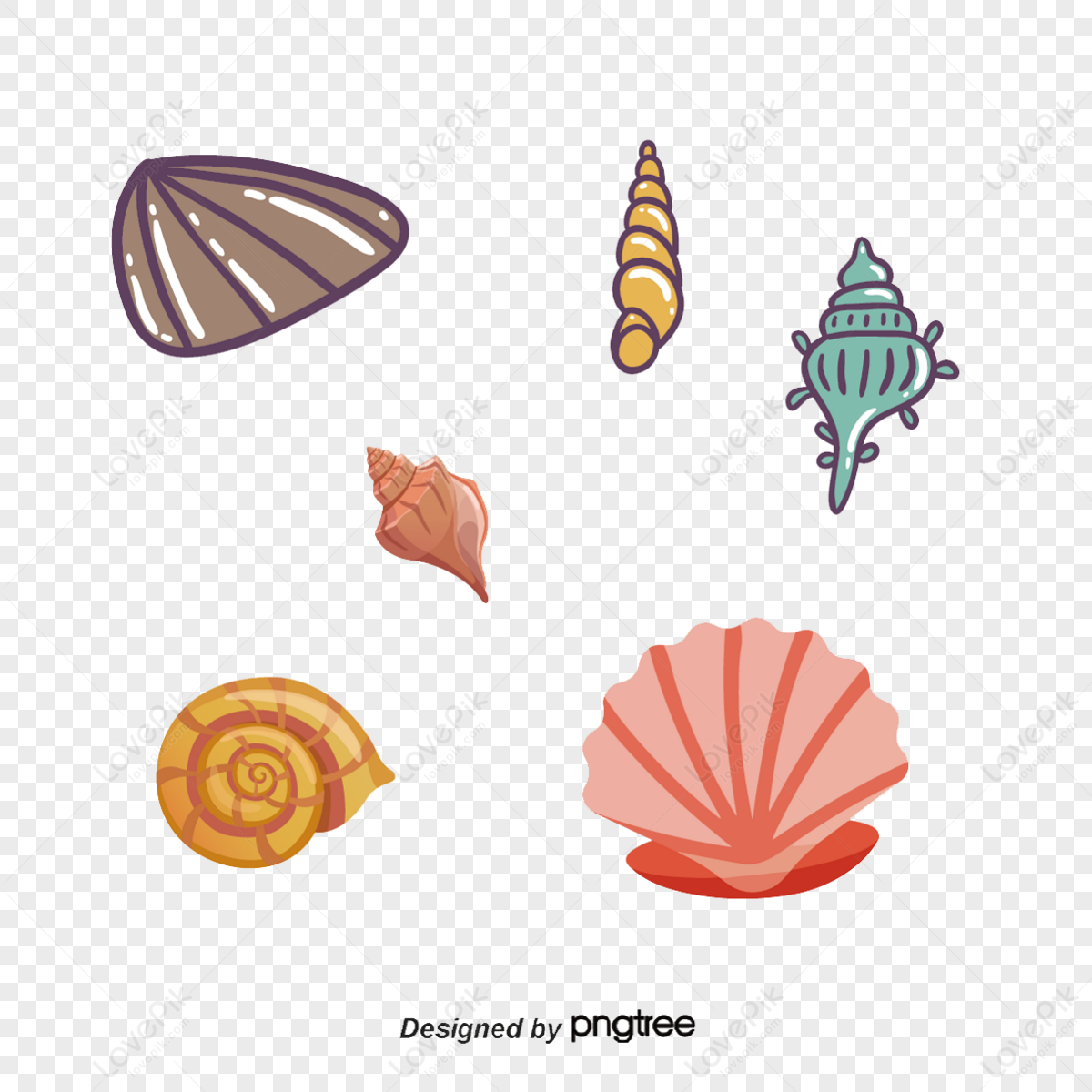 Marine Shellfish PNG Images With Transparent Background | Free Download ...