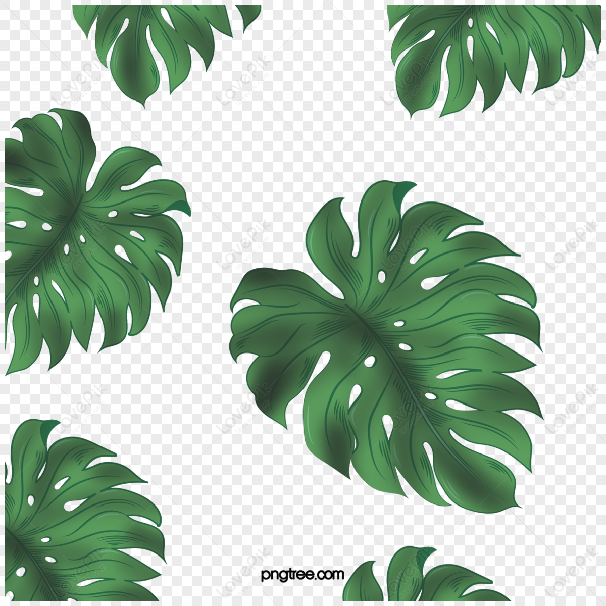 Palm Leaf Clipart PNG Images With Transparent Background | Free ...