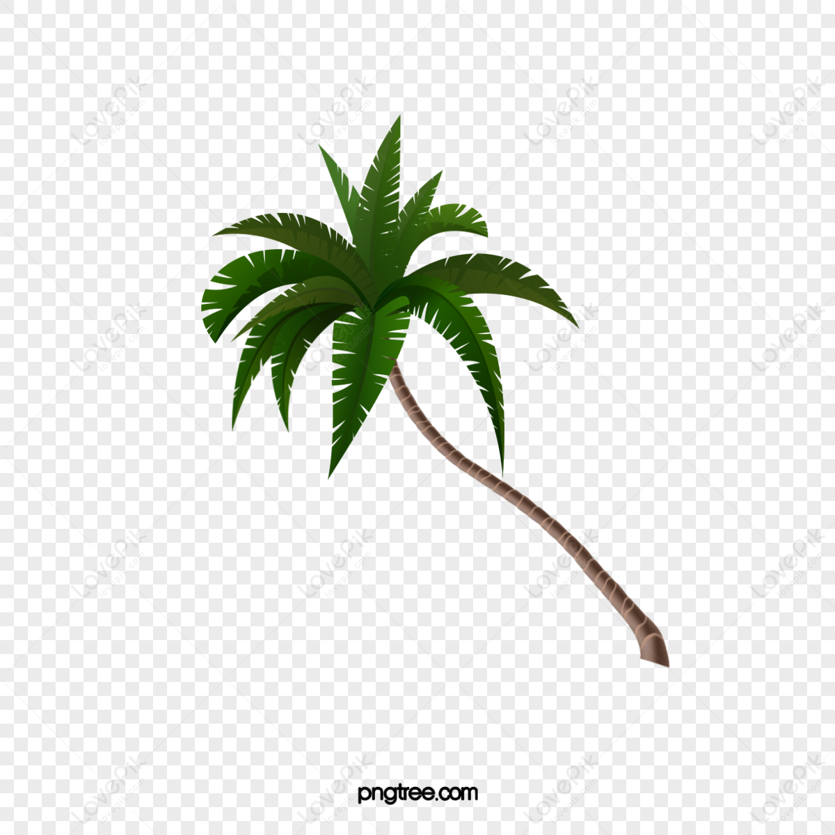 Palm Tree,palm Leaves,butia Capitata,elaeis Guineensis PNG Transparent ...