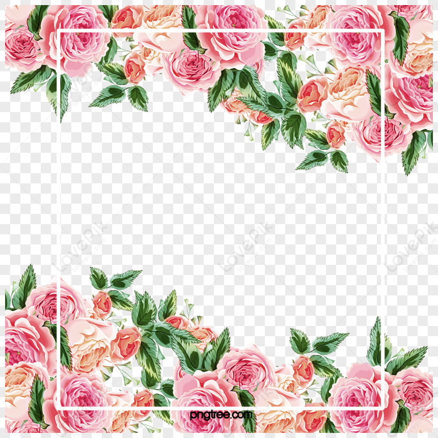 Pink Roses Border,flower Border,paint,hand PNG Picture And Clipart ...