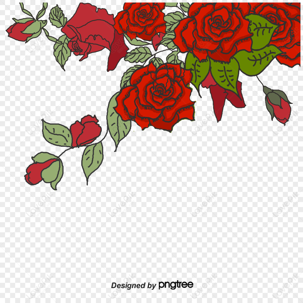 Red Rose Border Images Hd Pictures For