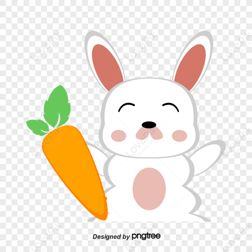 Vector Bunnies,rabbit Cartoon,cartoon Carrot,cartoon Rabbit PNG Hd ...