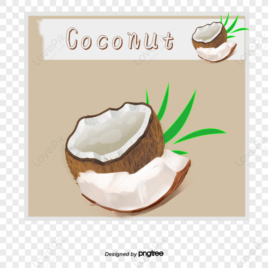 Vector Cartoon Coconut,coconut Oil,fruit,cartoon Fruit PNG Image Free ...