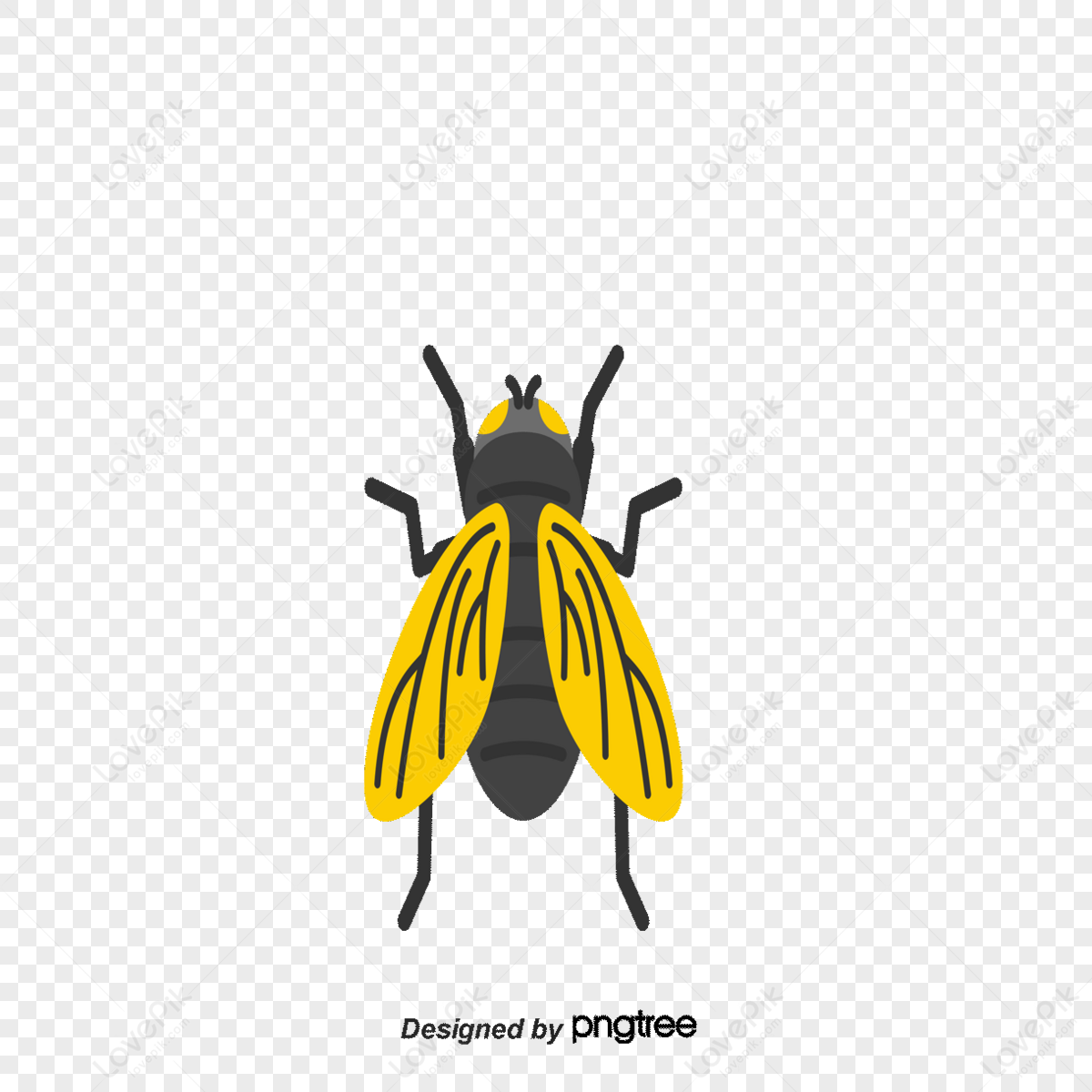 Pest Control PNG Images With Transparent Background | Free Download On ...