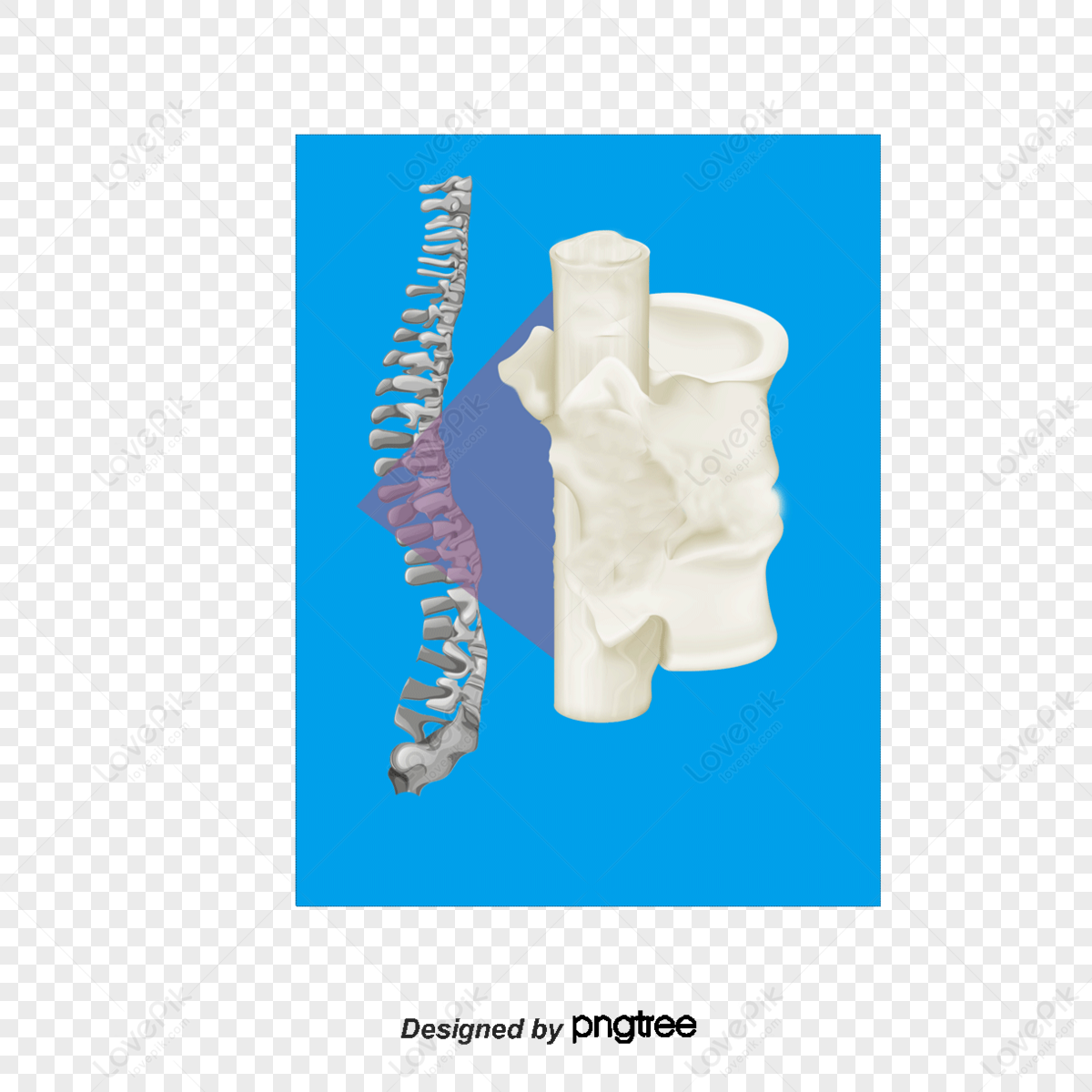 Premium Vector | Spine diagnostics symbol logo template vector illustration  design