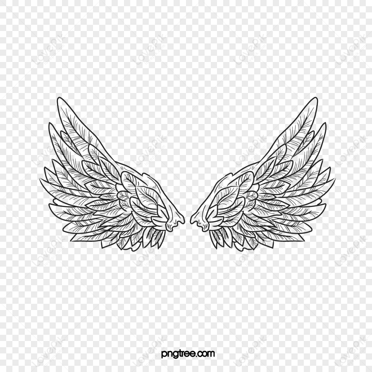 Wing,angel Wings,cartoon Line Wings,feather PNG Free Download And ...