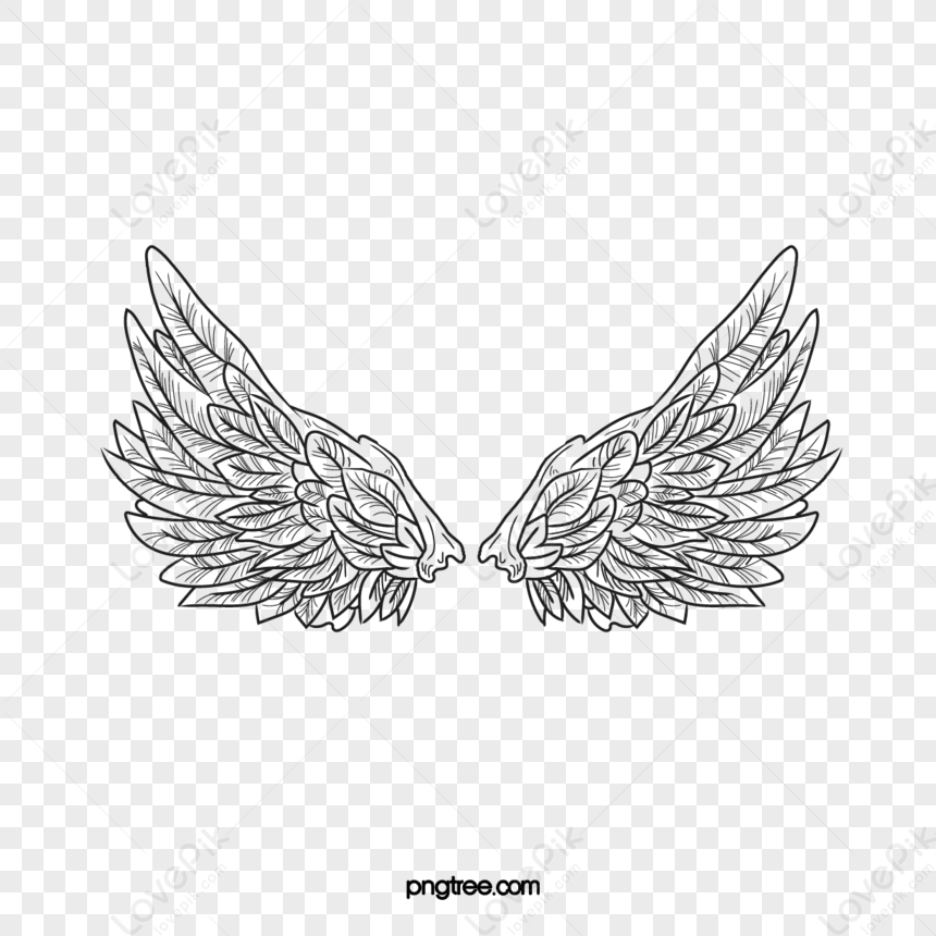 Wing,angel Wings,cartoon Line Wings,feather PNG Free Download And ...