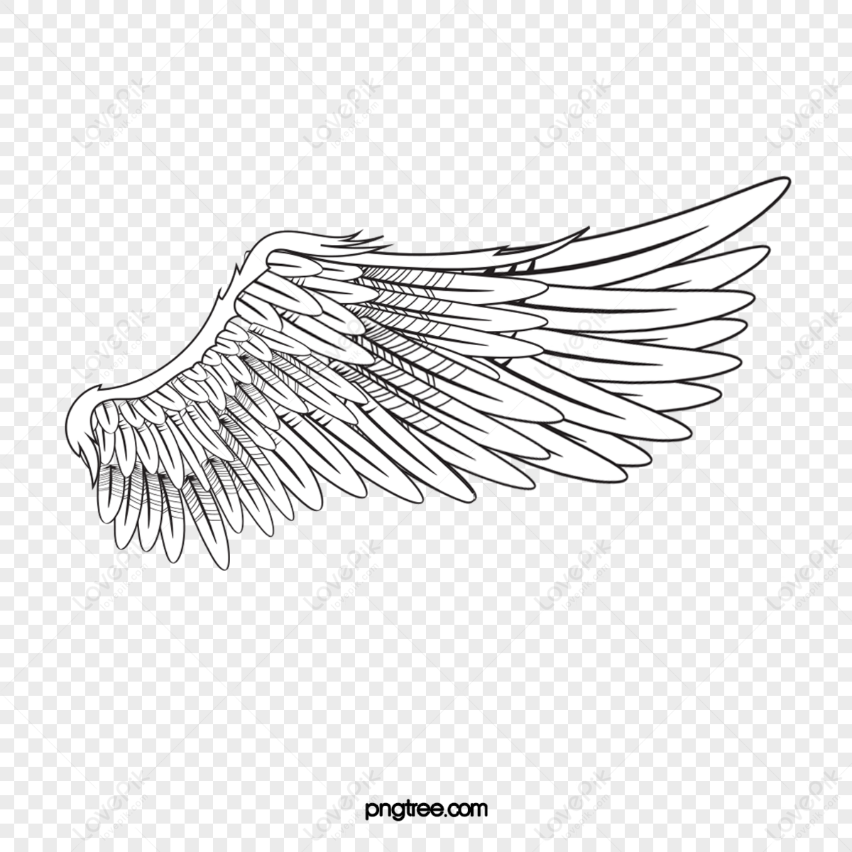 Wing,chicken Wings Drawing,demon Wing Drawing,sewing Machine Drawing ...