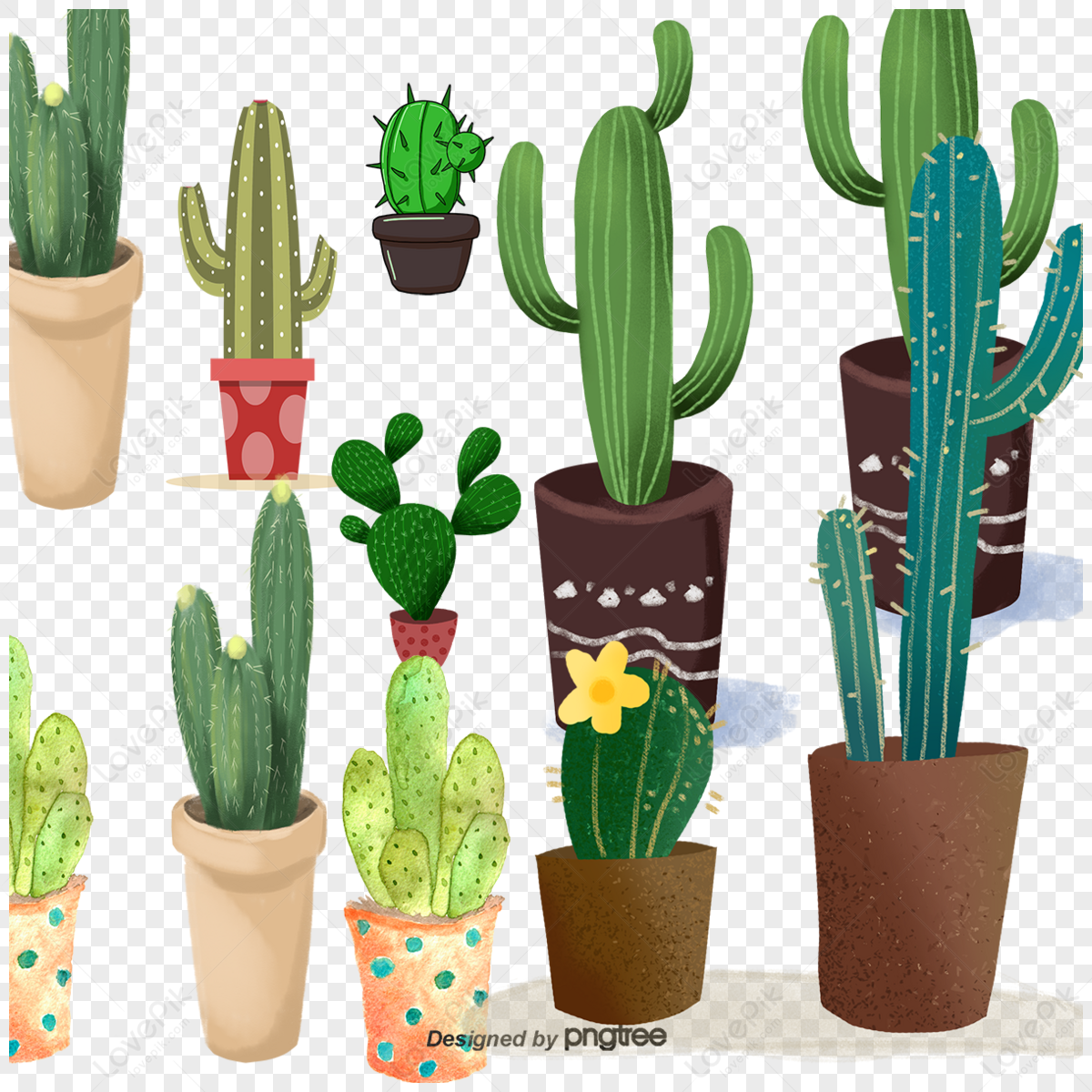 Potted Cactus PNG Images, Drawing Plant, Hand Painted Flowers, Cactus PNG  Transparent Background - Pngtree