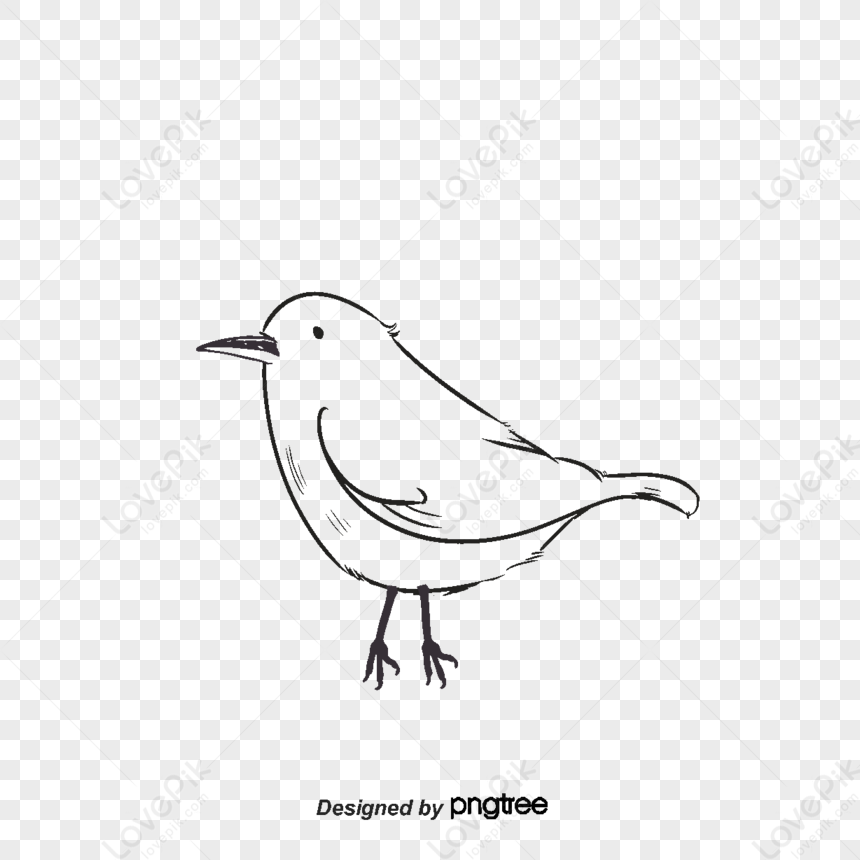 Follow these steps to create your own chickadee drawing! To begin, draw a  line… | Simple bird drawing, Bird sketch, Drawing birds easy