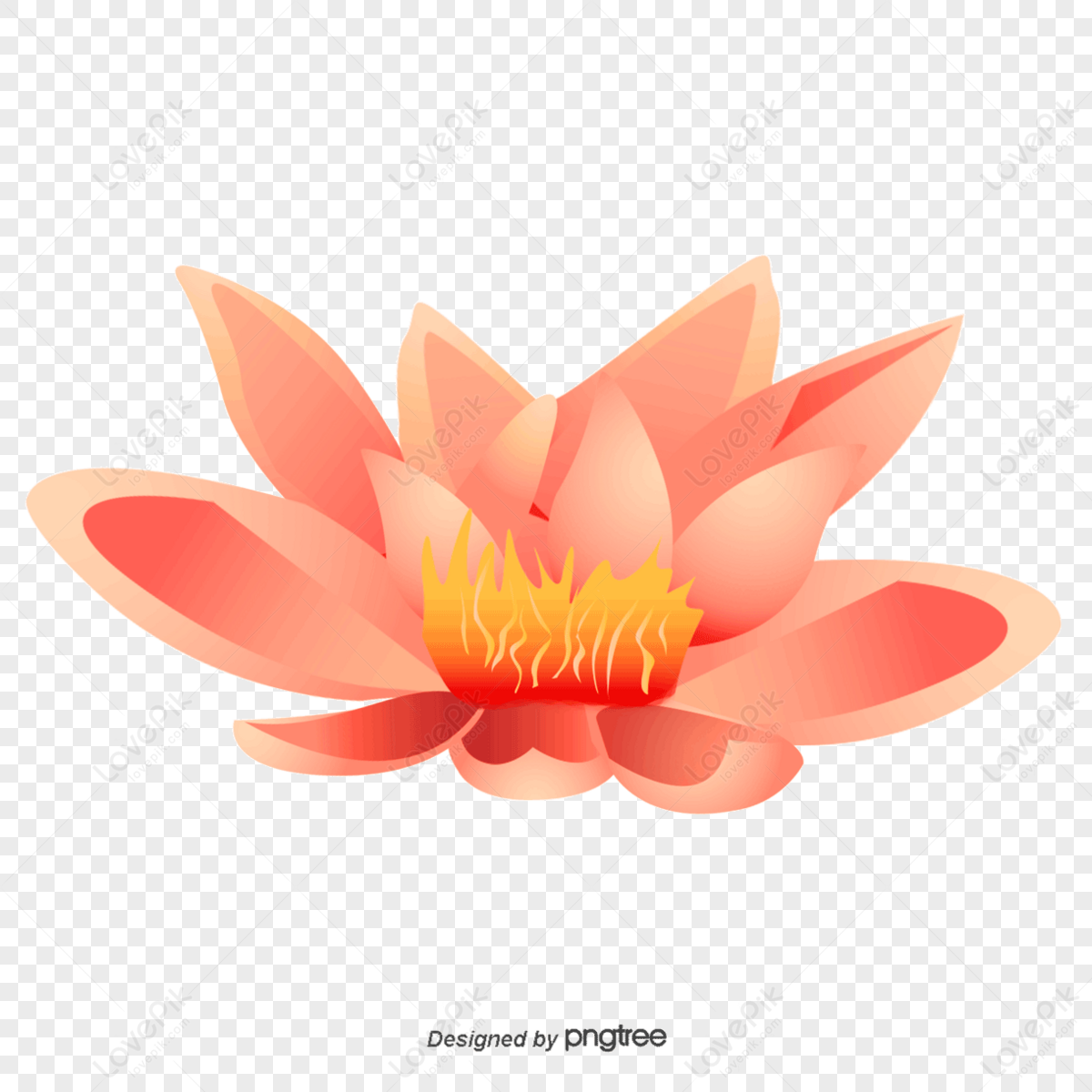 <b>blooming</b> <b>lotus</b> pink water vector. <b>blooming</b> <b>lotus</b> pink water vector png imag...