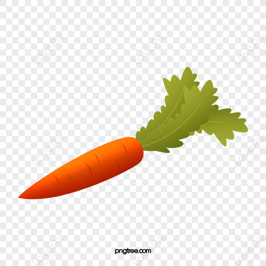 Cartoon Carrot,food,leaves,green Leaves PNG Picture And Clipart Image ...