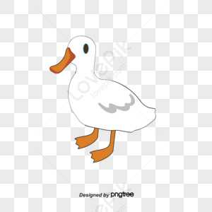Cartoon Duck Images Free Photos, PNG Stickers, Wallpapers Backgrounds  Rawpixel, Cartoon Duck Pictures Clip Art