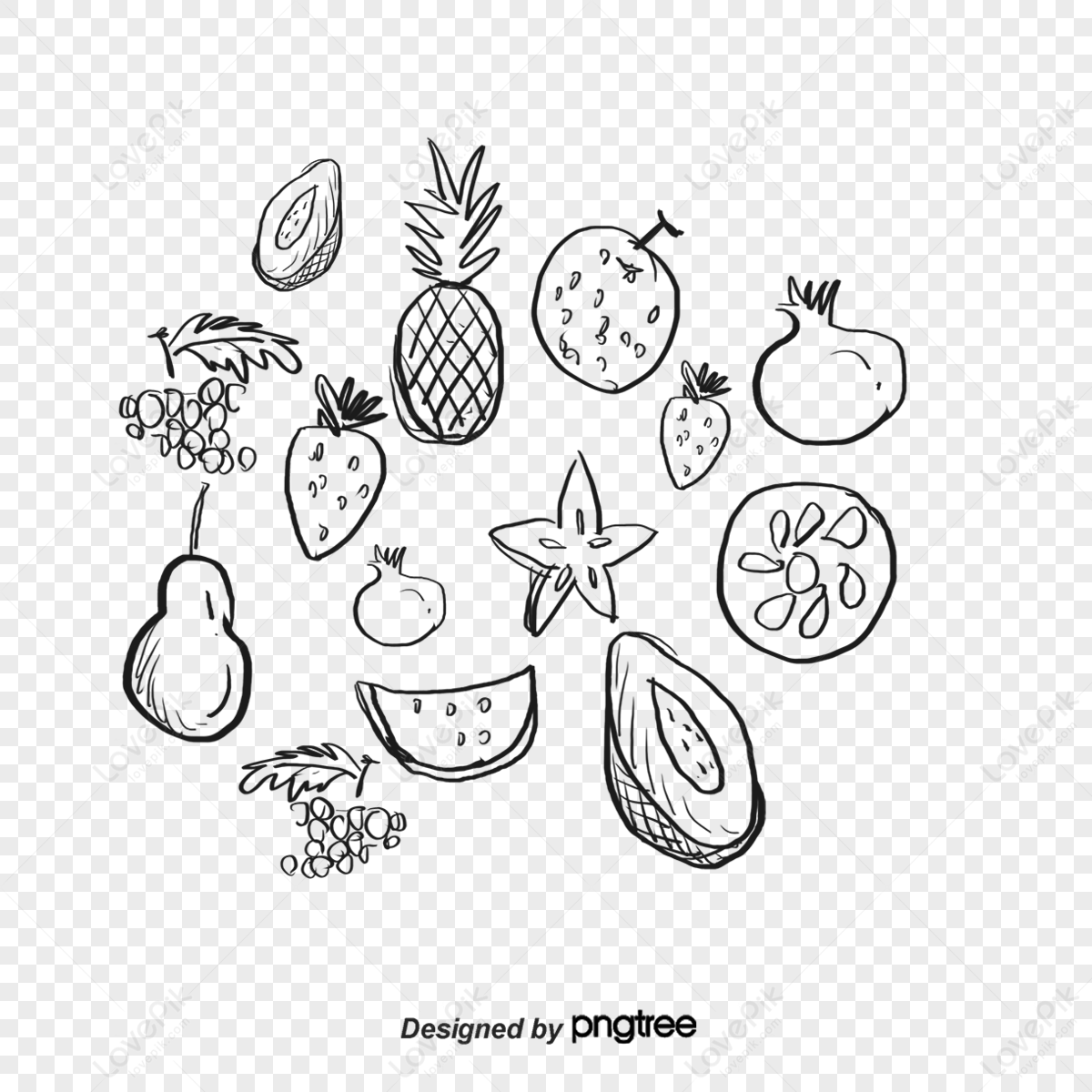 Botanical Pear Fruit Sketch Stock Illustrations – 1,180 Botanical Pear Fruit  Sketch Stock Illustrations, Vectors & Clipart - Dreamstime