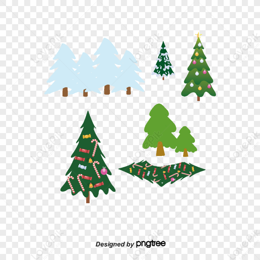 Christmas Cedar Tree Vector Cartoon,abies Fraseri,tsuga Heterophylla ...