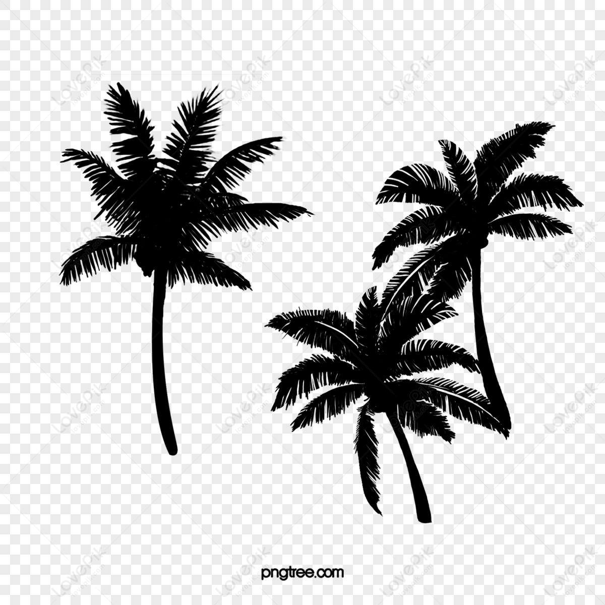 coconut palm tree silhouette vector,coconut leaves,attalea speciosa,palm leaves png image free download