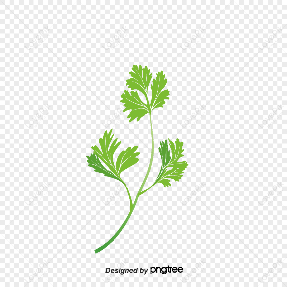 Herbal Logo PNG Transparent Images Free Download | Vector Files | Pngtree
