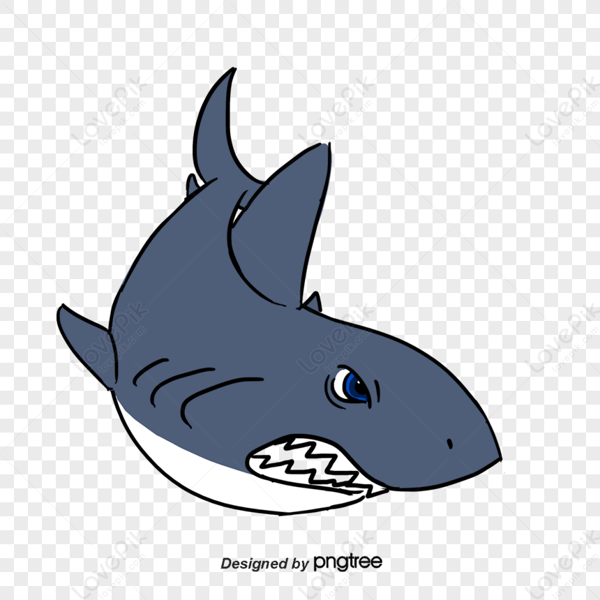 Hình ảnh Phim Hoạt Hình Vẽ Tay Dễ Thương động Vật Biển Màu Xanh Cá Mập Hình  ảnh Hoạt Hình PNG , Clip Cá Mập, Biểu Tượng, Trang Trí Chấm PNG và