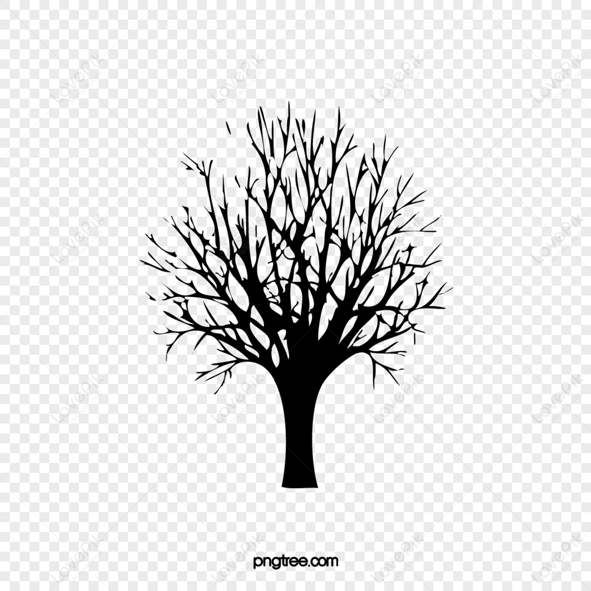 Dry Tree,no Leaf,shriveled,dry Tree Drawing PNG Transparent Image And ...